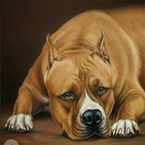 Style Me ציורי יהלומים ציור יהלומים - כלב בוקסר